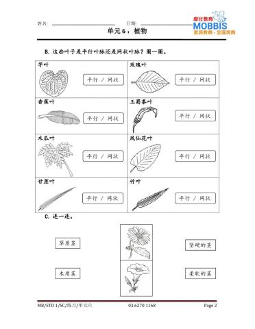 一年级科学 单元六练习2
