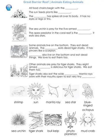 The Great Barrier Reef - Animals Eating Animals