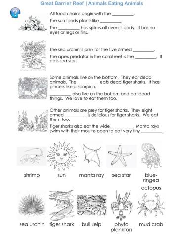 The Great Barrier Reef - Animals Eating Animals