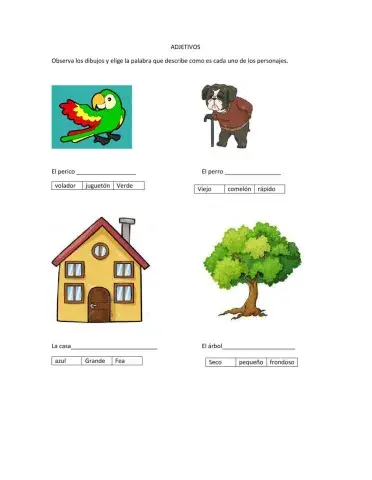 Adjetivos calificativos