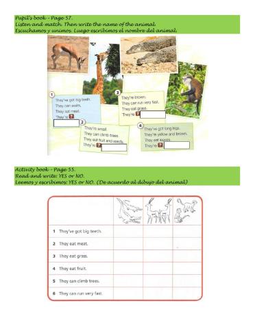 Animals and their food