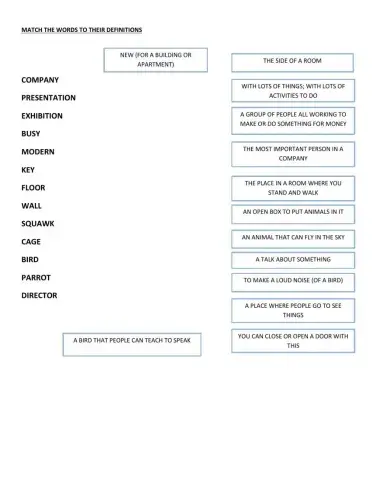 Jake's parrot - story