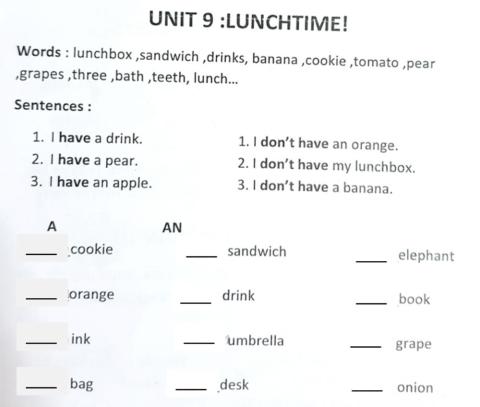 Unit 9-Lunchtime