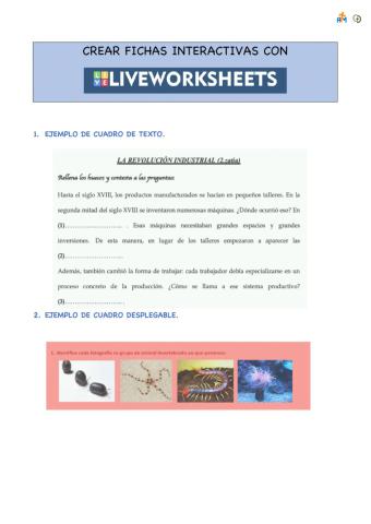 Crear fichas interactivas