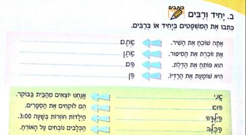 Singulares y plurales