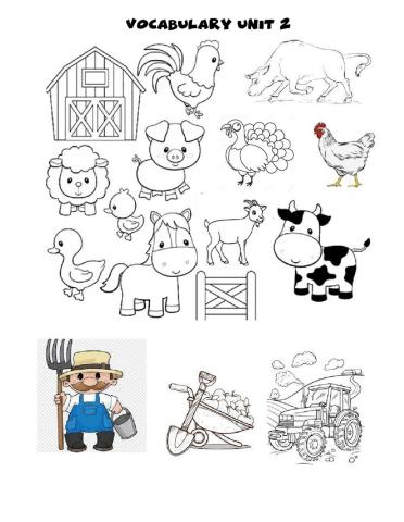 Farm animals vocabulary