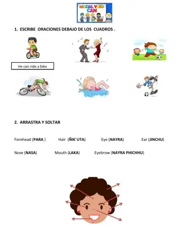 Modal Verbs - Can and Can-t