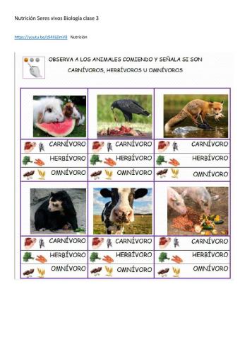 Nutrición seres vivos