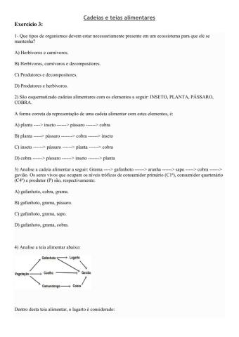 Cadeia e Teias alimentares 3