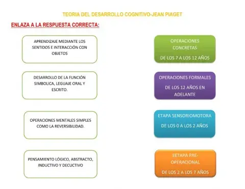 Teoría del desarrollo cognitivo-jean piaget
