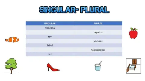 Singular- plural
