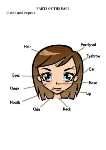 Face parts