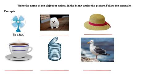 Object animal identification