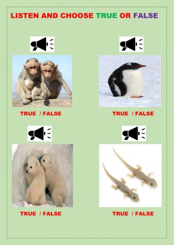 Listen and choose True or False