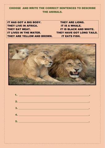 Choose, write and describe