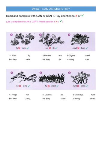 What can animals do?