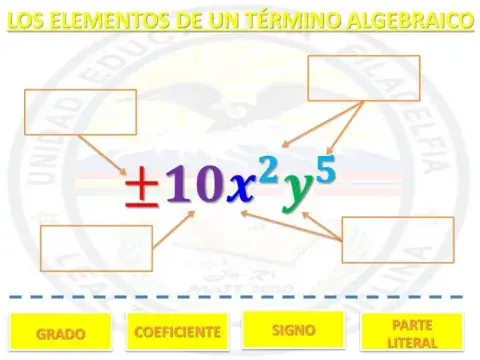 Elementos de un término algebraico