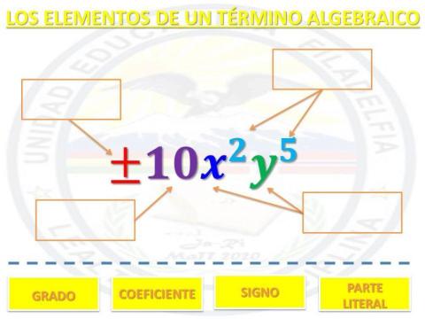 Elementos de un término algebraico