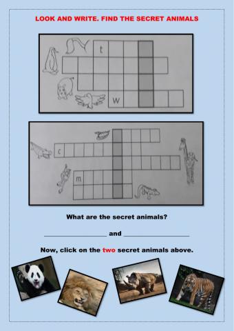 Look, write and find the animals