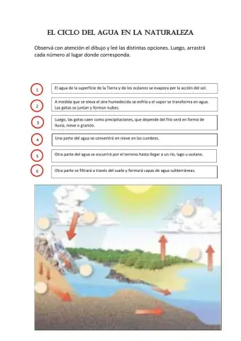 Ciclo del agua en la naturaleza