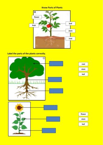 Know parts of plants