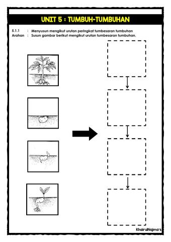 Unit 5: Urutan tumbesaran tumbuhan