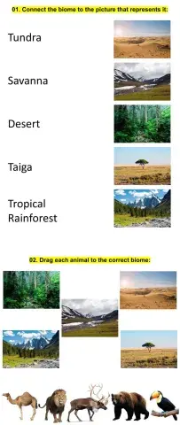 Biomes