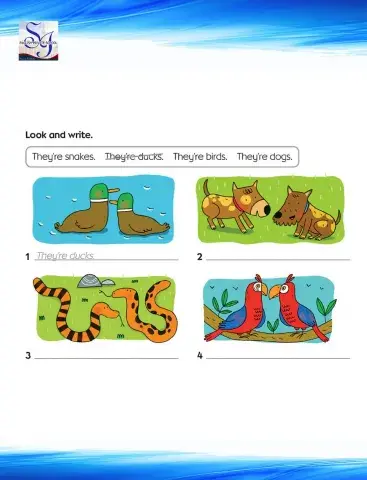 Plurals animals