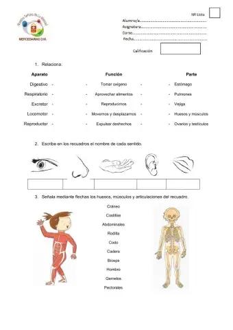 Evaluación Inicial Naturales 3º Primaria