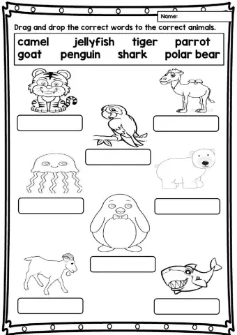 Unit 6: The Old House