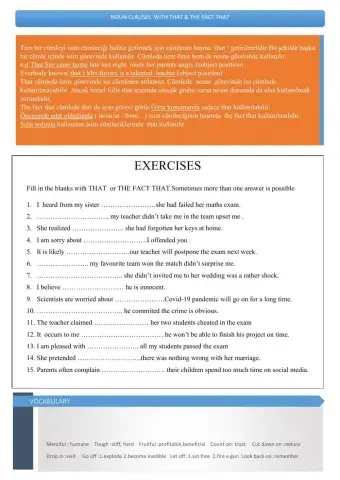 Noun clause with that - the fact that