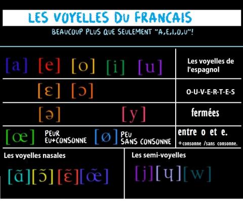 Les voyelles du français