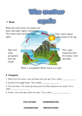 The water cycle