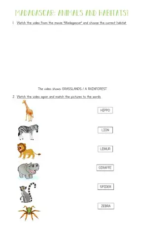 Madagascar - animals and habitats