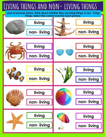 Living things and non- living things
