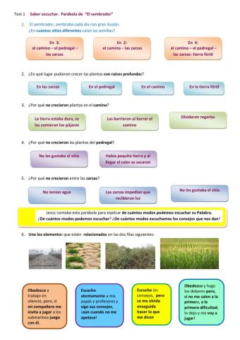 Saber escuchar. Parábola de El sembrador