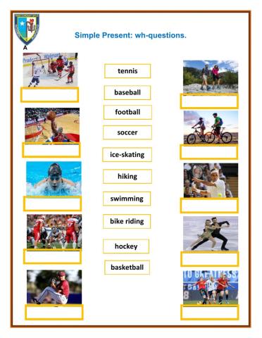 Sports Vocabulary