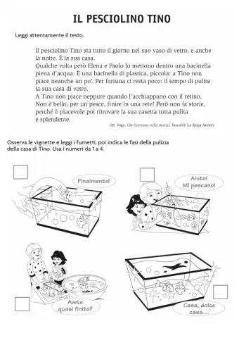 3 - Il pesciolino Tino