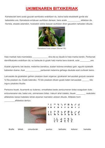 Ukimenaren bitxikeriak