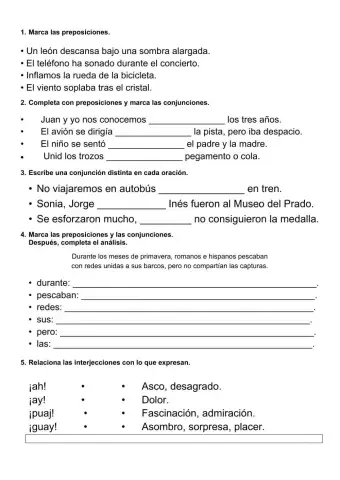 Preposiciones, Conjunciones e Interjecciones