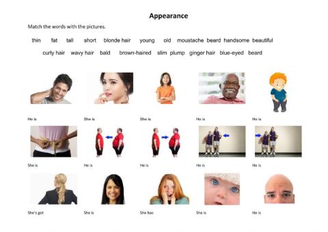 Appearance - Physical description