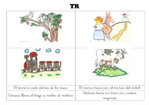 Comprensión lectora Tr