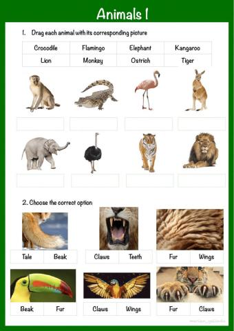 Animals 1