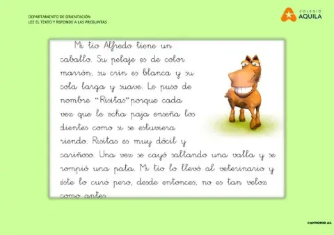 Lee el texto y responde a las preguntas