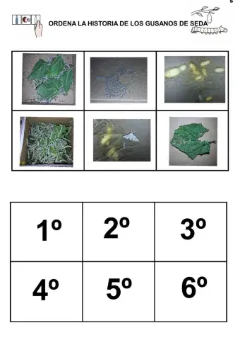 Historia de los gusanos de seda