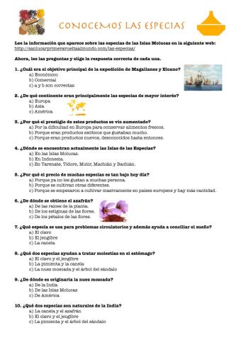 Conocemos las especias