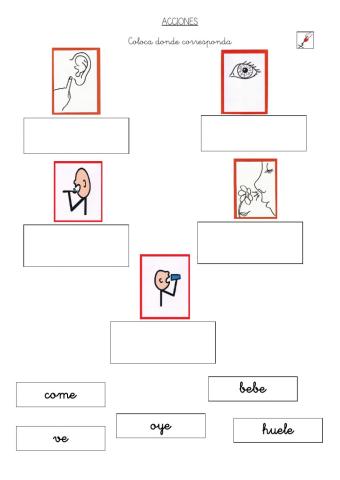 Coloca donde corresponde, acciones