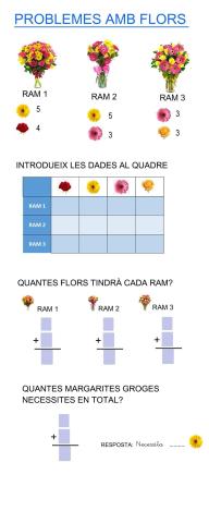 Problemes de flors reforç