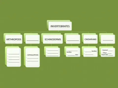 Unit 4 Invertebrates Complete Scheme