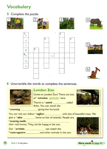 Animals in the jungle